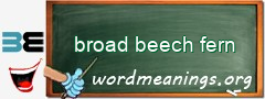WordMeaning blackboard for broad beech fern